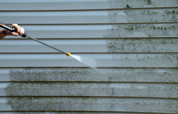 Best Roof Washing  in Gordonsville, TN